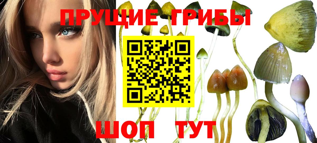 Галлюциногенные грибы MAGIC MUSHROOMS  Вход с VPN  Гагарин 